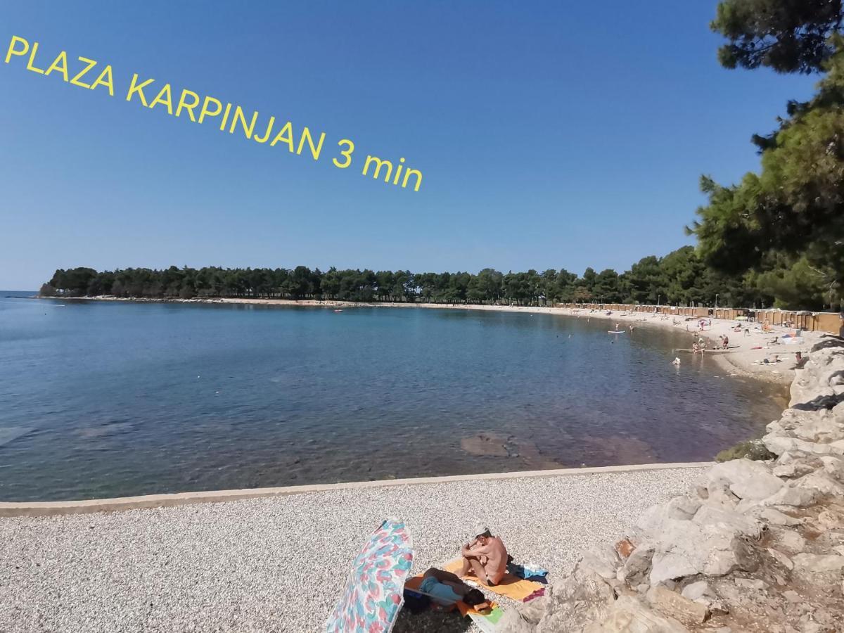 Apartman Hola Novigrad  Exterior photo